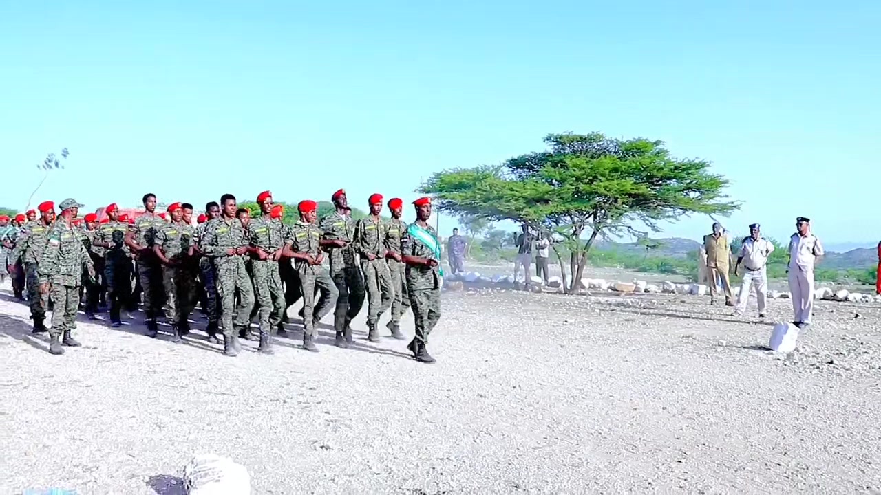 Daawo Gudoomiyaha Gobolka Awdal Mudane C/Rashiid Xasan Mataan Ayaa Saaka Kormeer ku tagay Xerada Ciidanka Goroyo-cawl Halkaasi oo ciidanka Qaranku ay Ku Soo Bandhigeen...